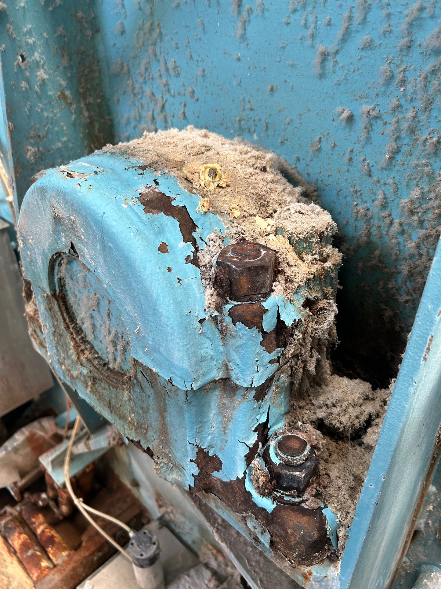 GA Braun 800 TSL Washer Extractor